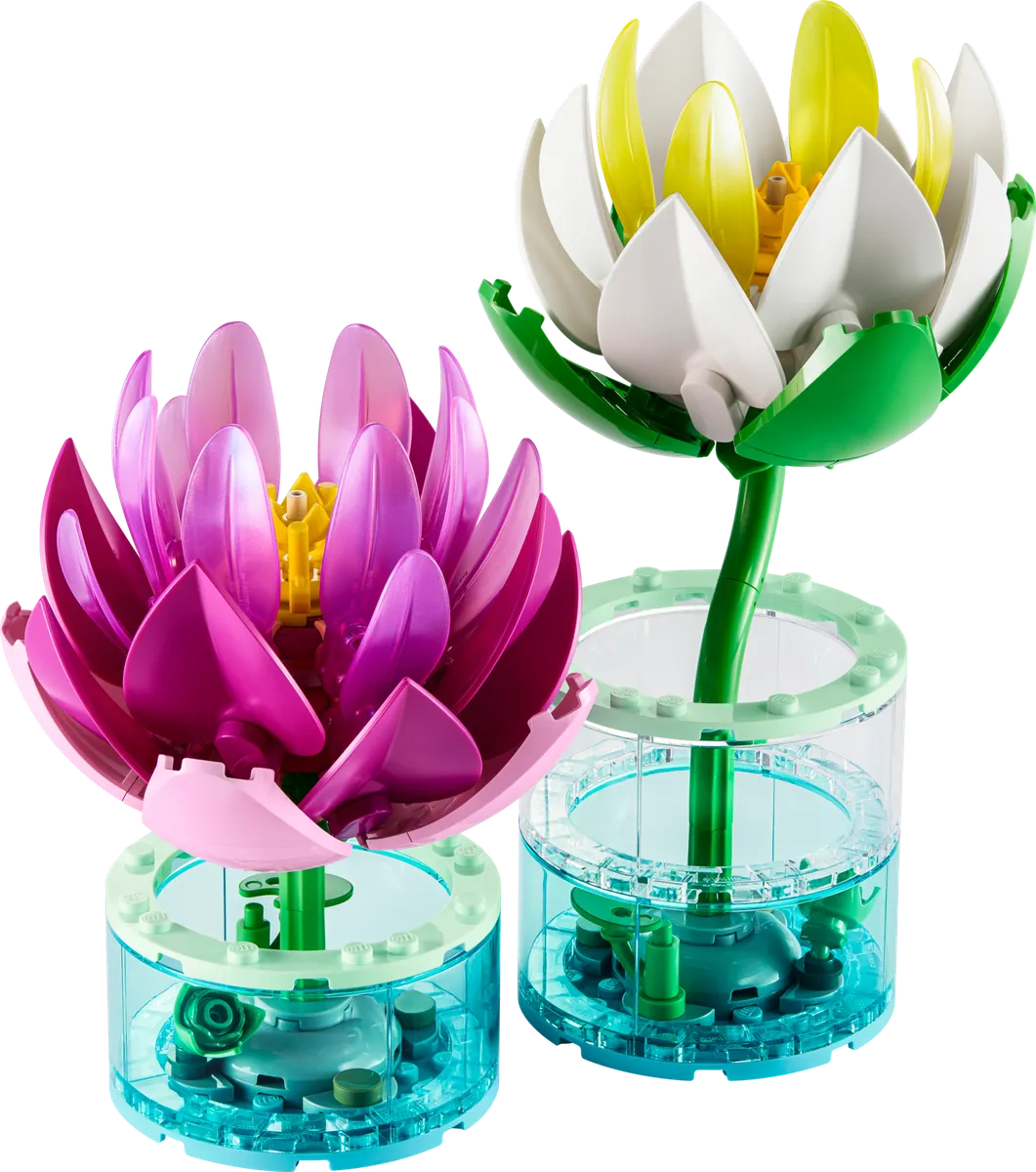 Water Lilies