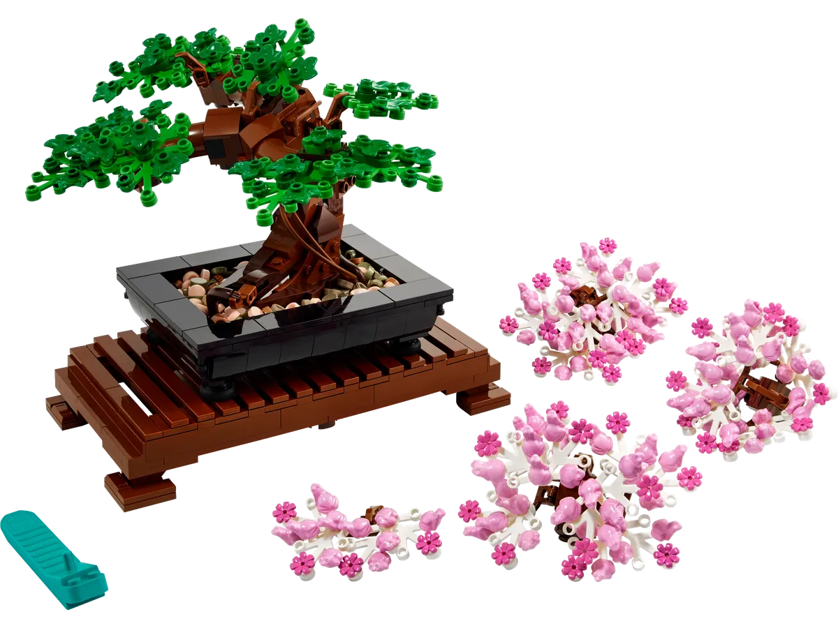 Bonsai Tree - Image 13