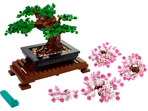 Bonsai Tree
