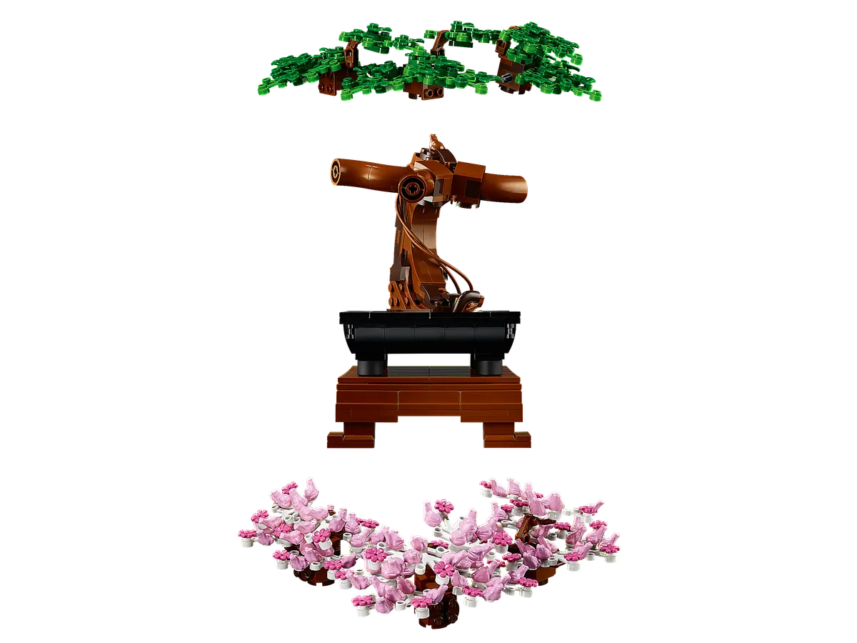 Bonsai Tree - Image 5