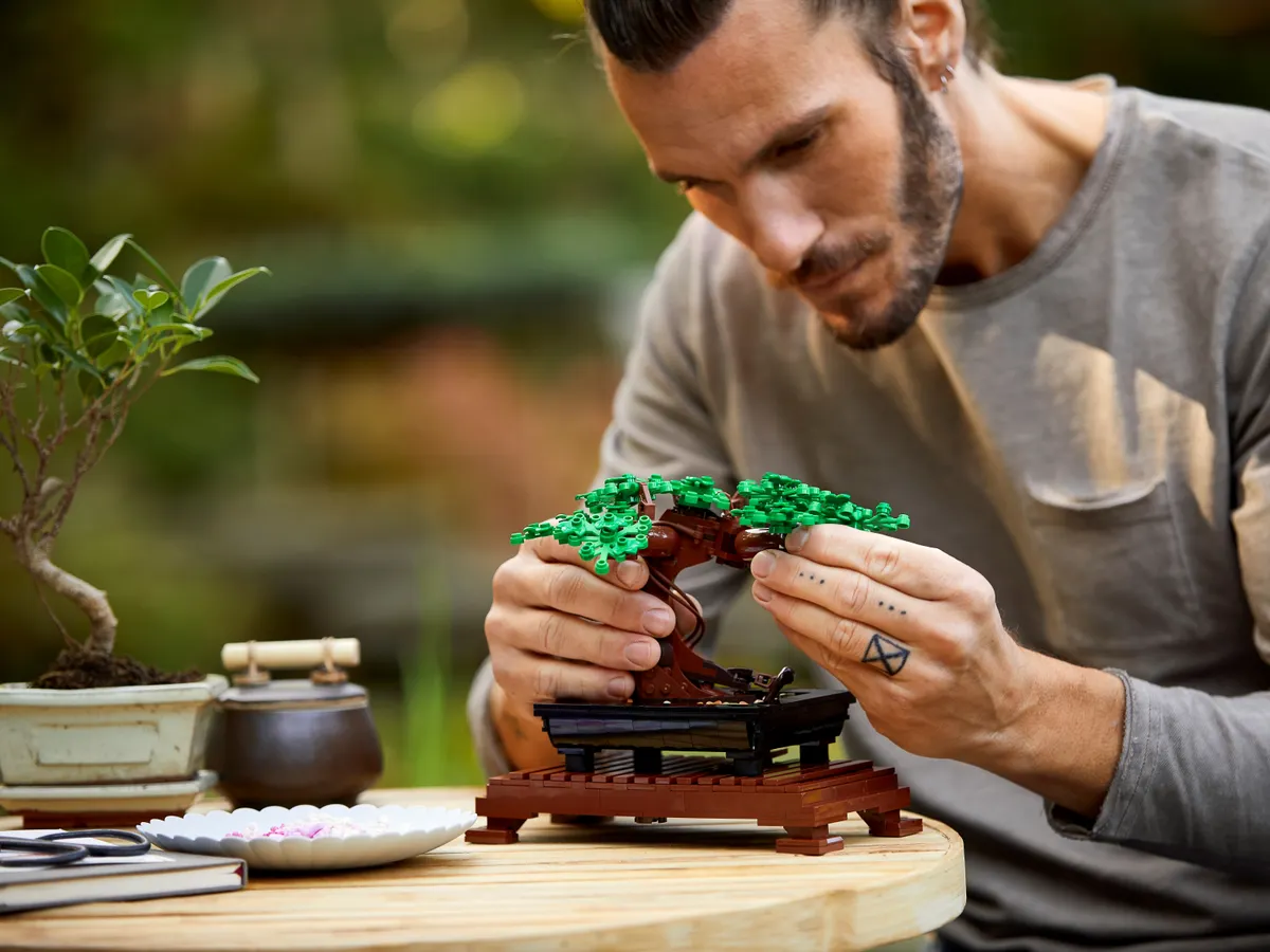 Bonsai Tree - Image 9