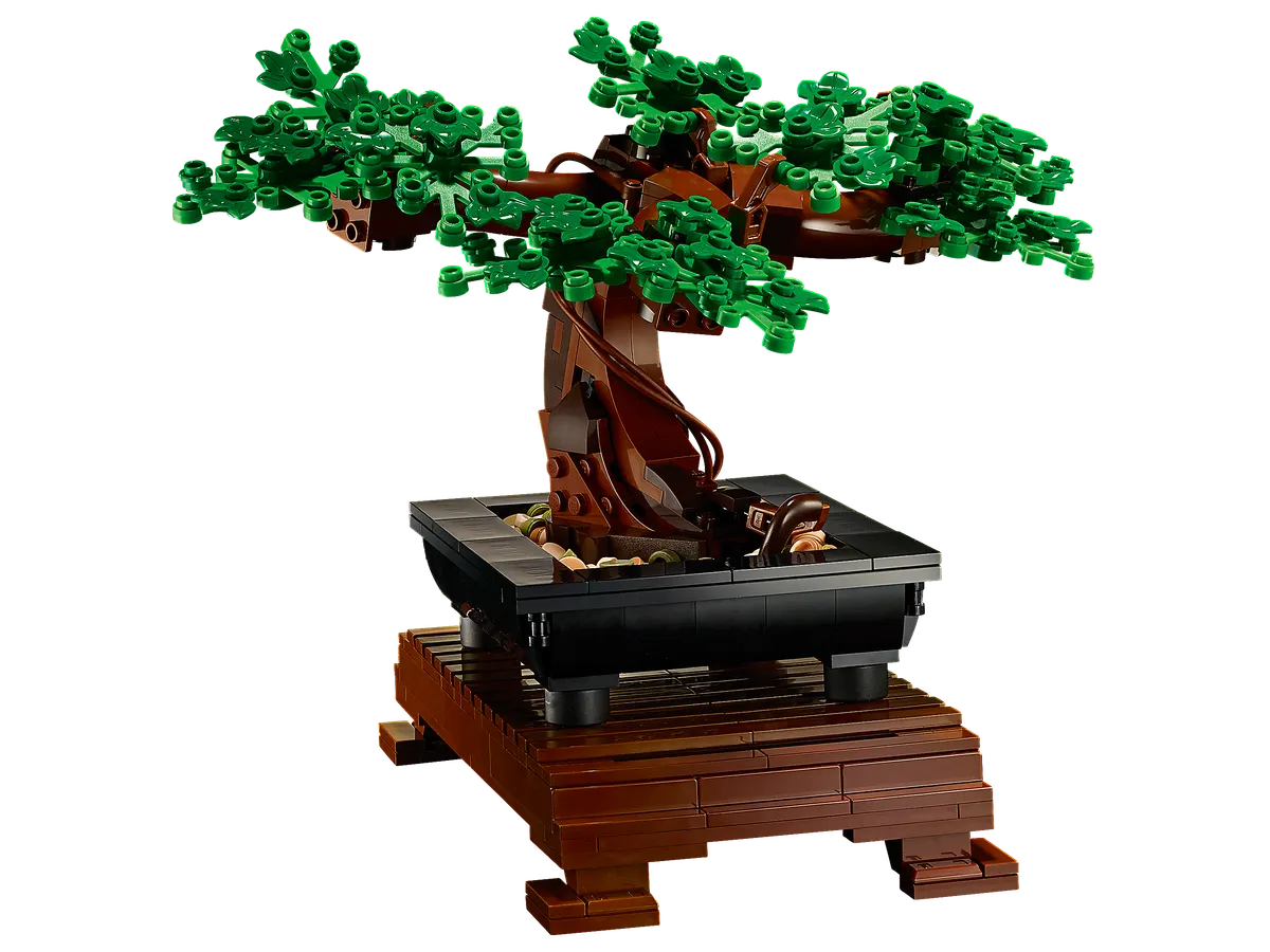 Bonsai Tree - Image 3