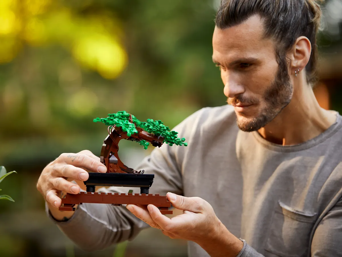 Bonsai Tree - Image 10