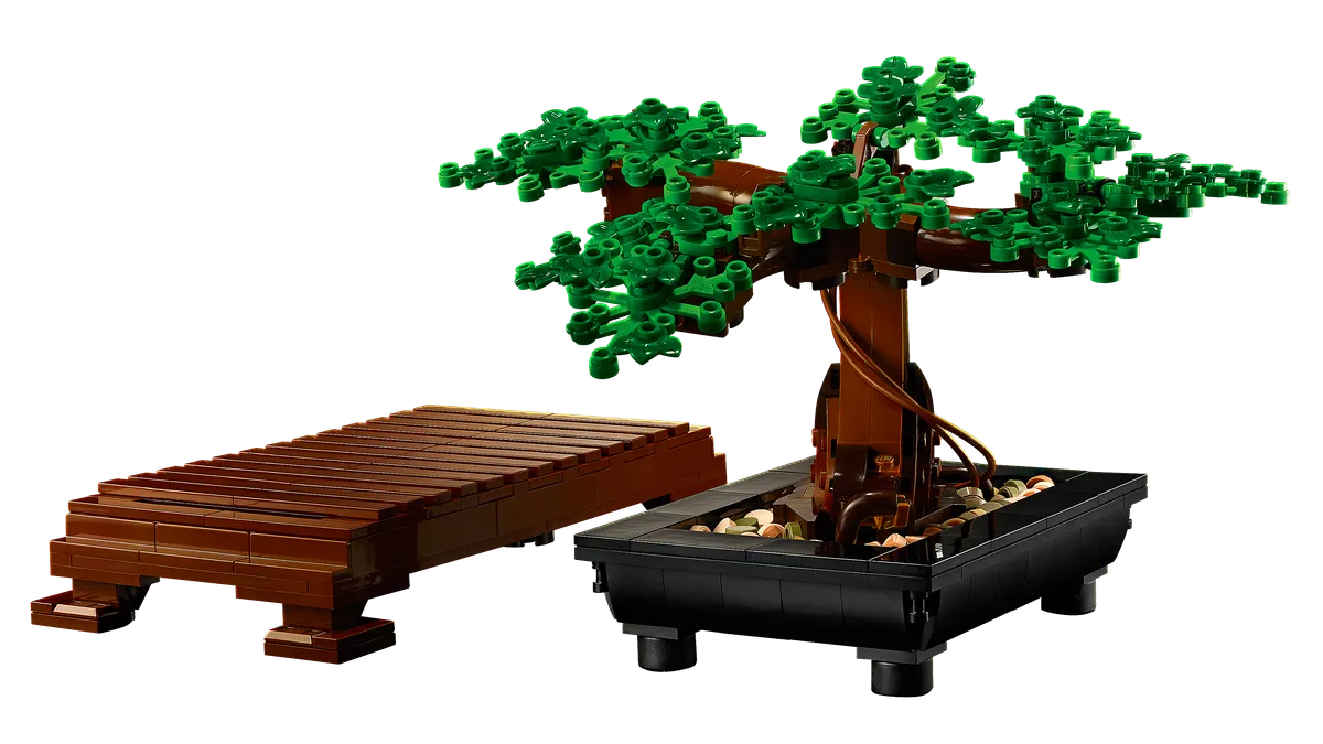 Bonsai Tree - Image 6
