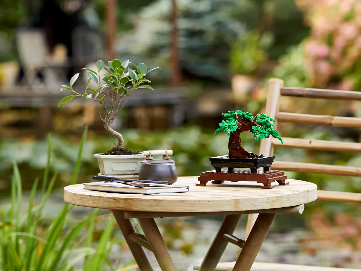 Bonsai Tree - Image 8