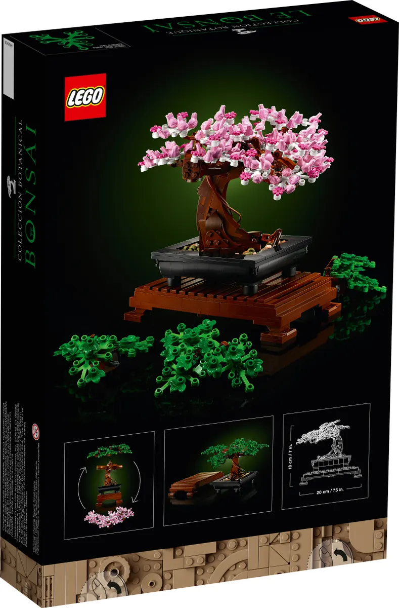 Bonsai Tree - Image 7