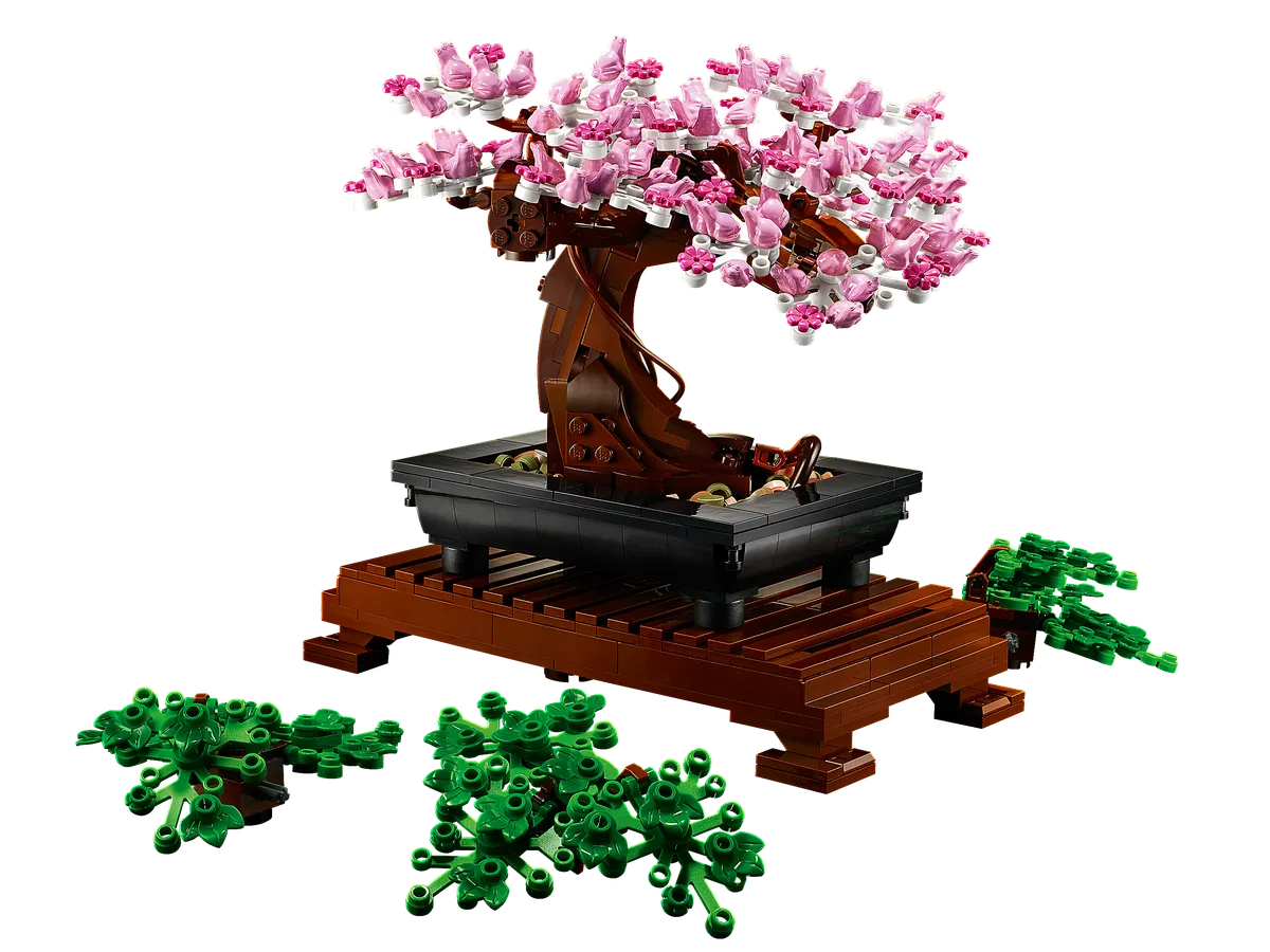 Bonsai Tree - Image 4