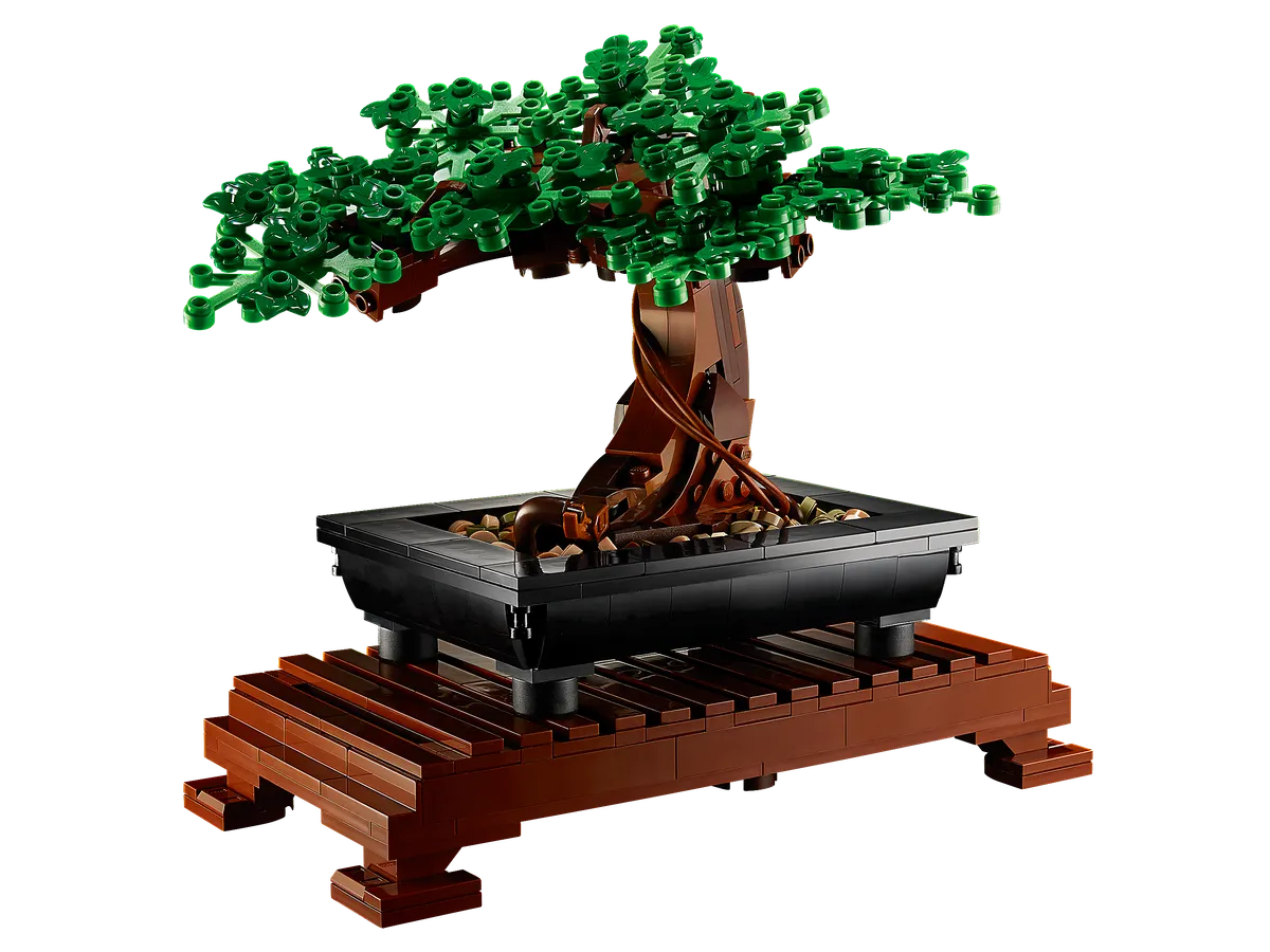 Bonsai Tree - Image 2
