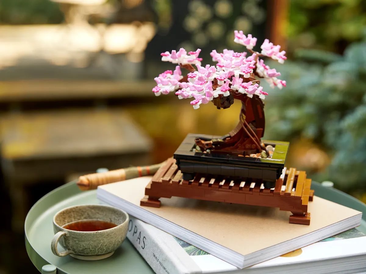 Bonsai Tree - Image 12