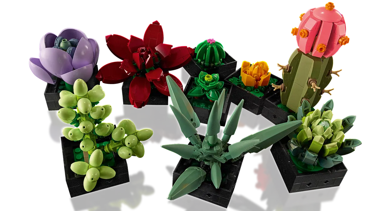 Succulents - Image 5
