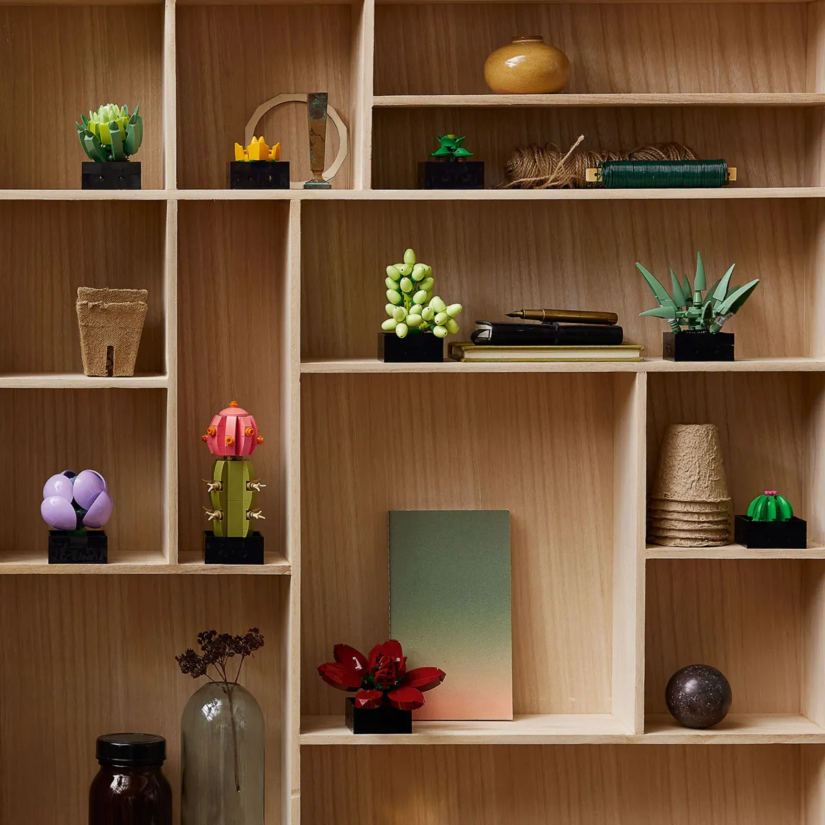 Succulents - Image 10