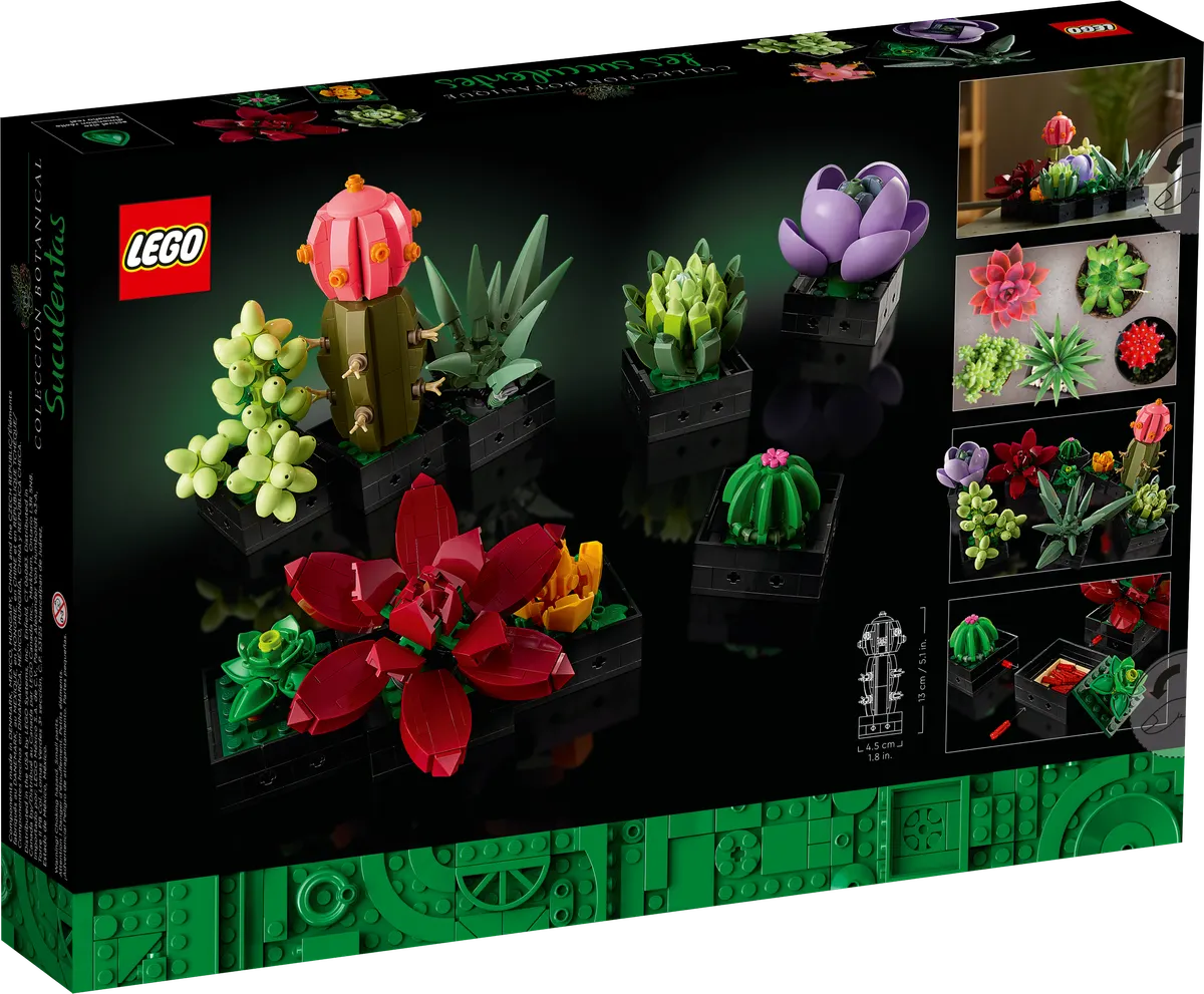 Succulents - Image 7