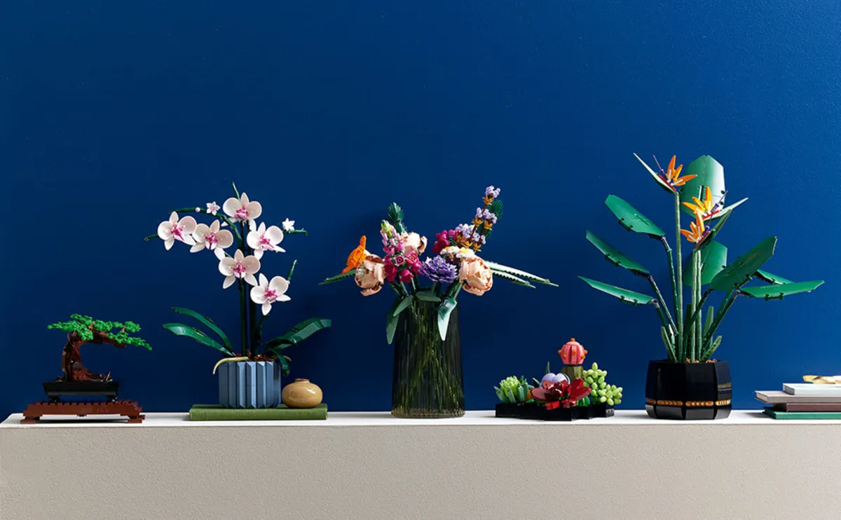 Orchid - Image 9