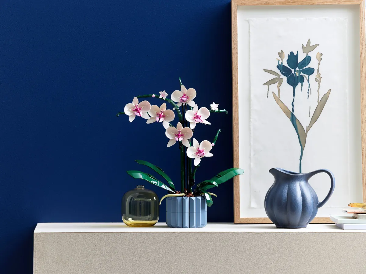 Orchid - Image 8