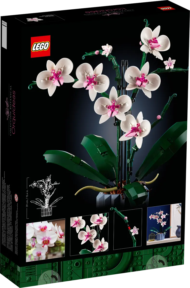 Orchid - Image 6