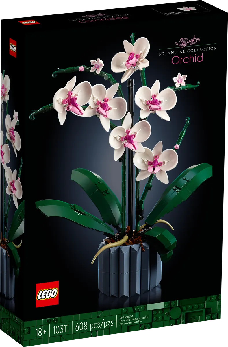 Orchid - Image 2