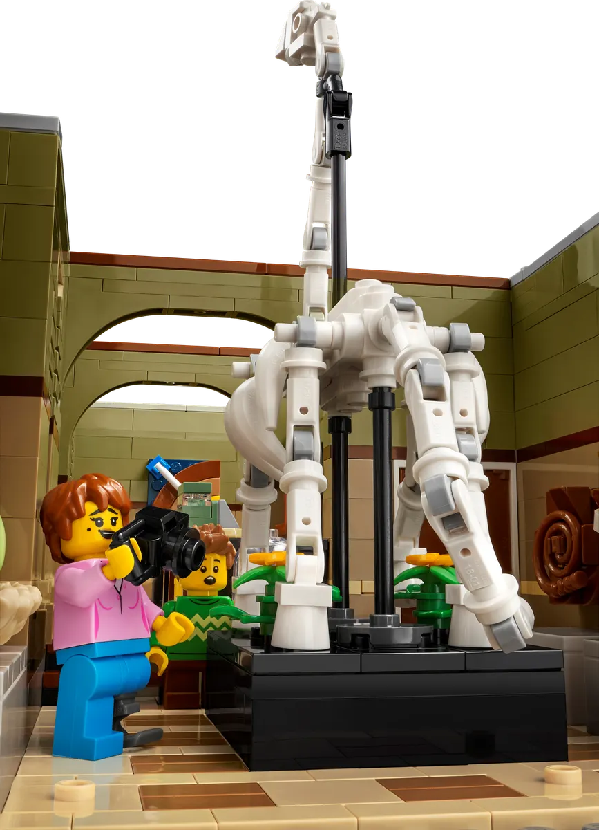 Natural History Museum - Image 4