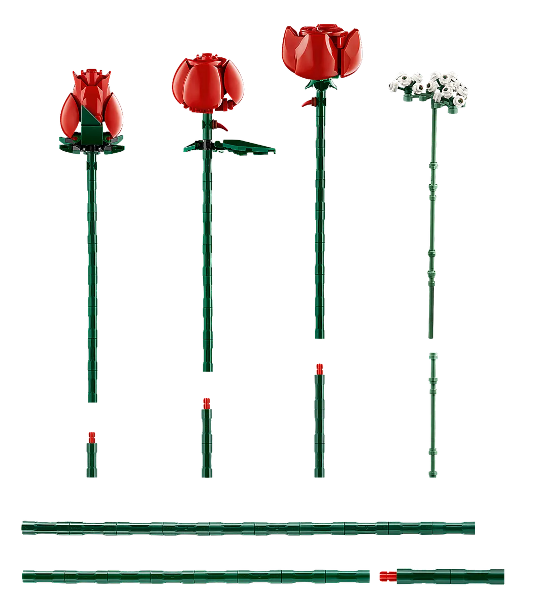 Bouquet of Roses - Image 5