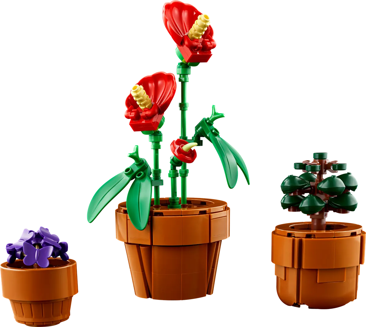 Tiny Plants - Image 3