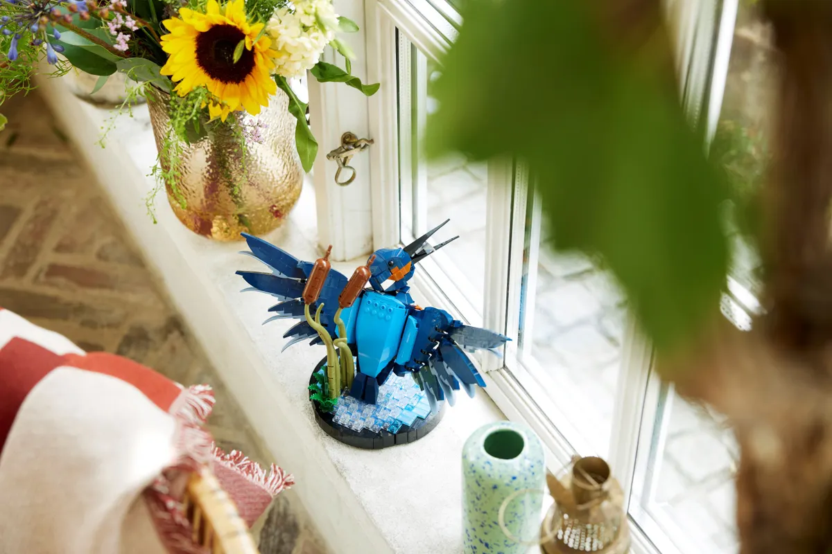 Kingfisher Bird - Image 7