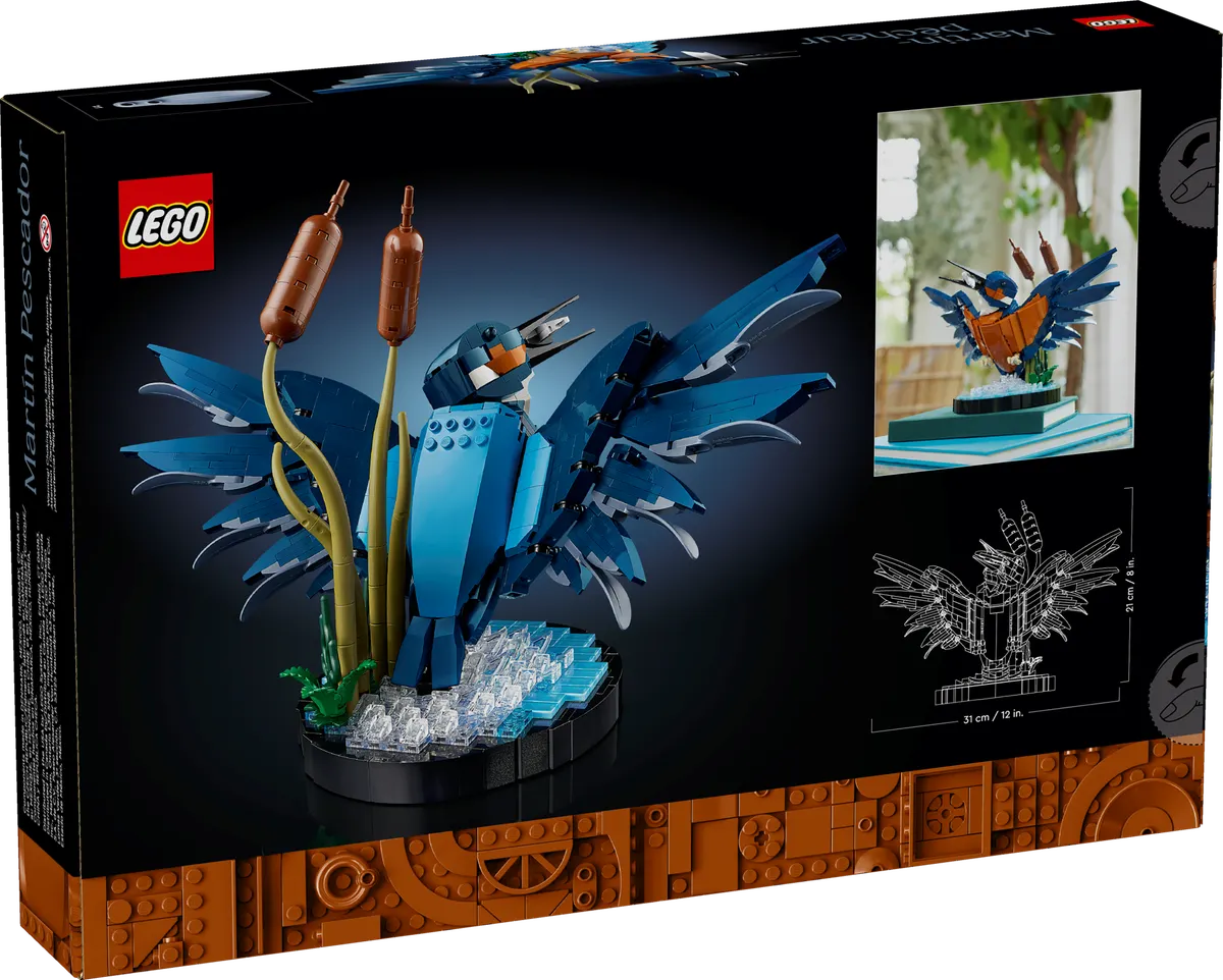 Kingfisher Bird - Image 5
