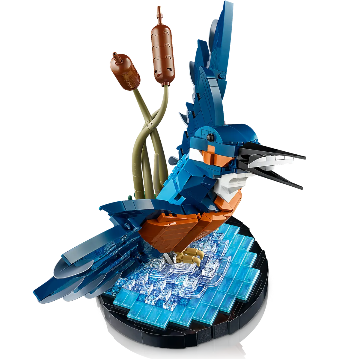 Kingfisher Bird - Image 3