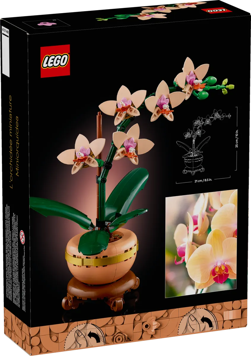Mini Orchid - Image 7