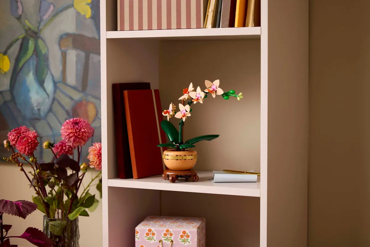 Mini Orchid - Image 6