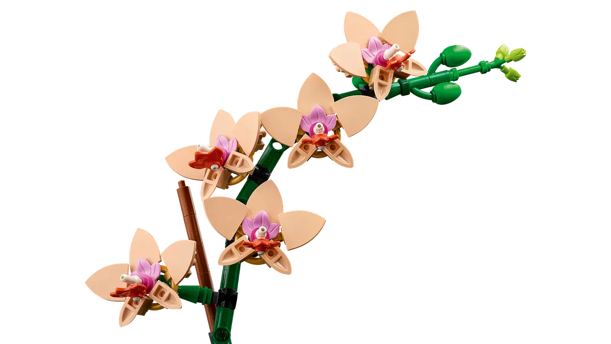 Mini Orchid - Image 8