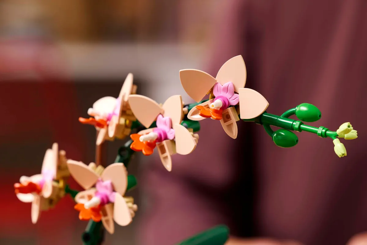 Mini Orchid - Image 4
