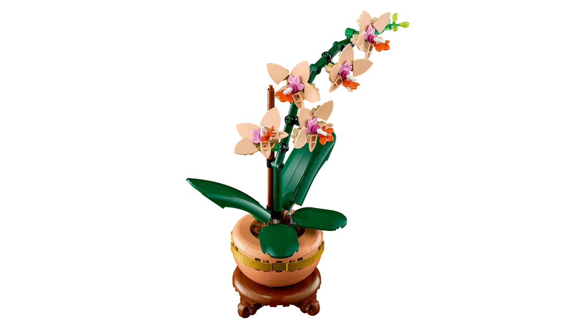 Mini Orchid - Image 9