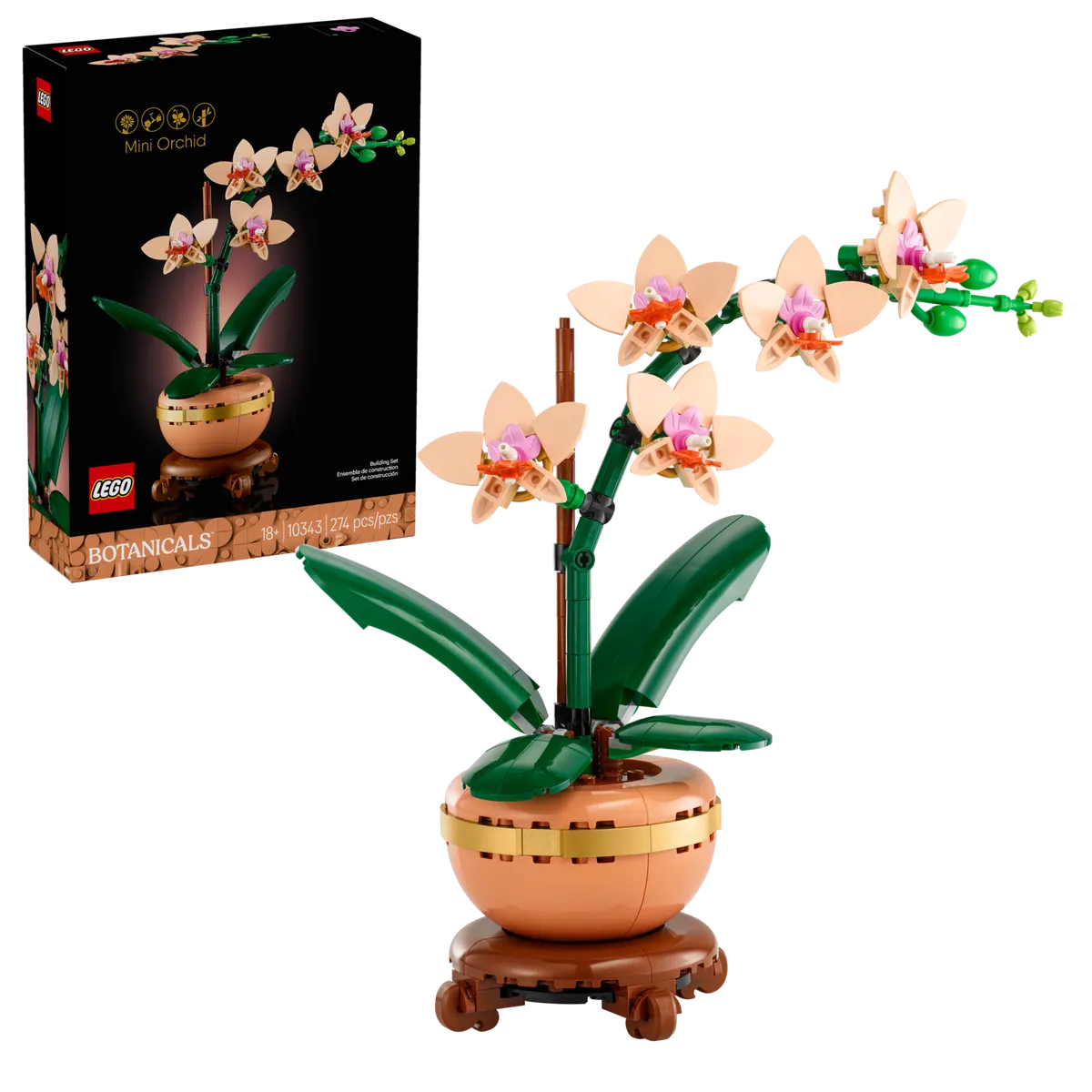 Mini Orchid - Image 2