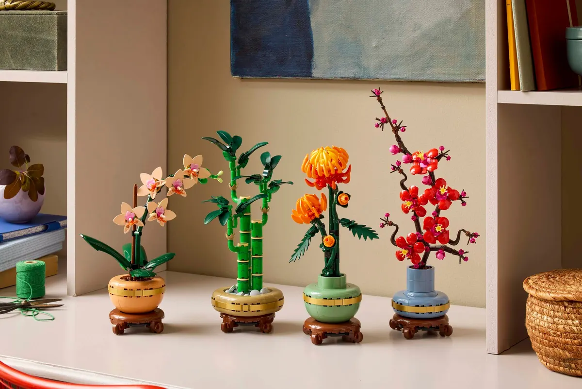 Lucky Bamboo - Image 3