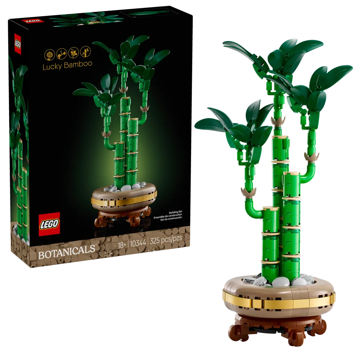 Lucky Bamboo - Image 2