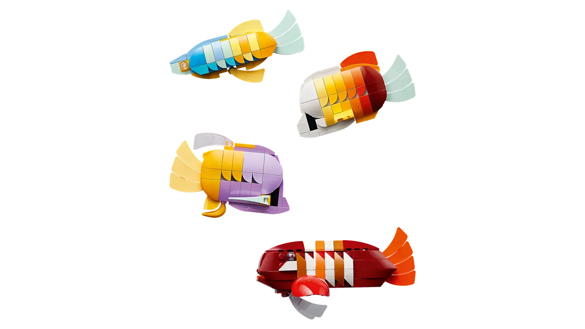 Tropical Aquarium - Image 13