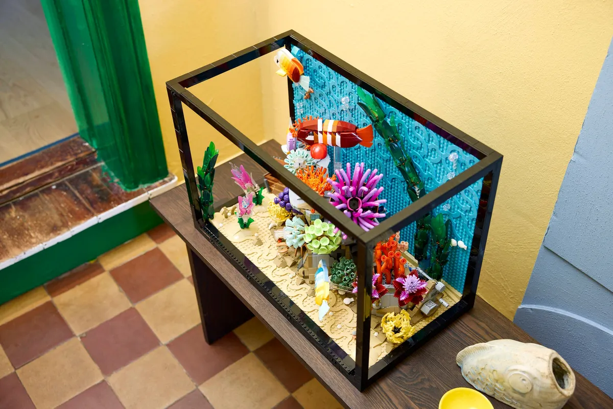 Tropical Aquarium - Image 10