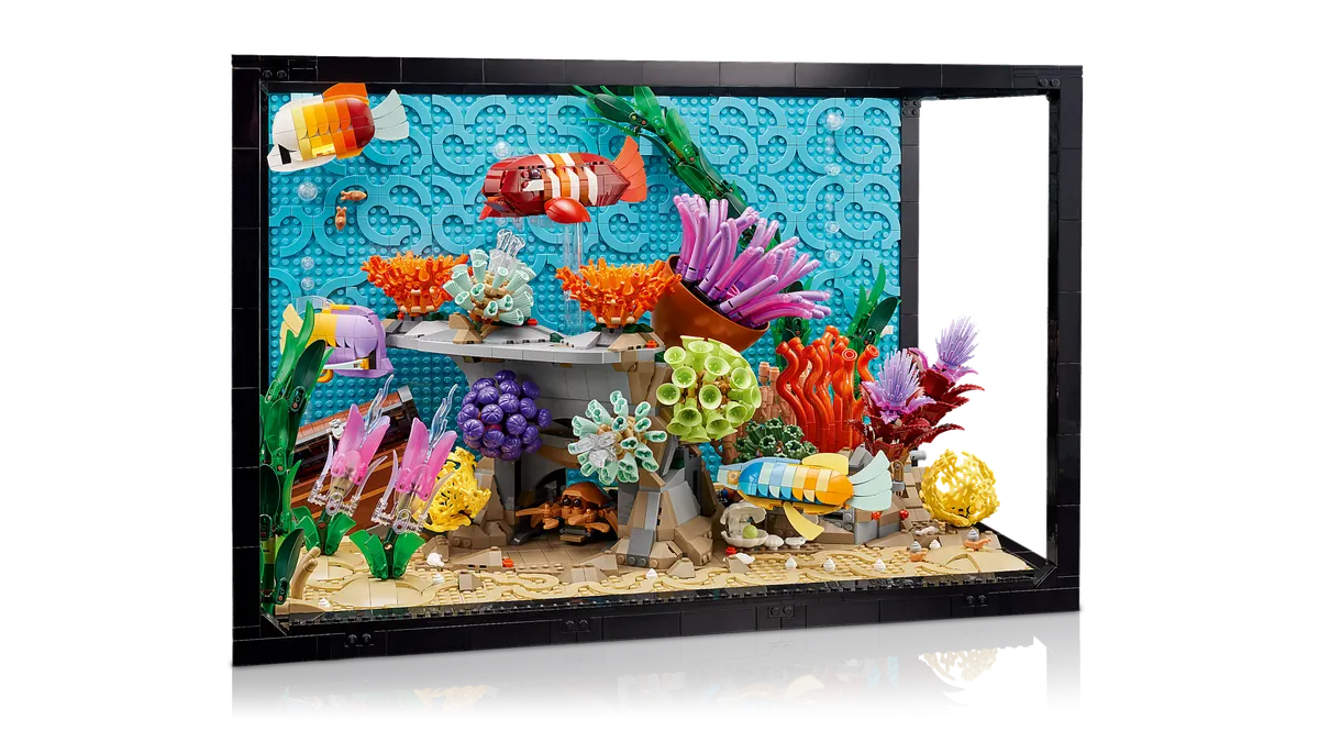 Tropical Aquarium - Image 15