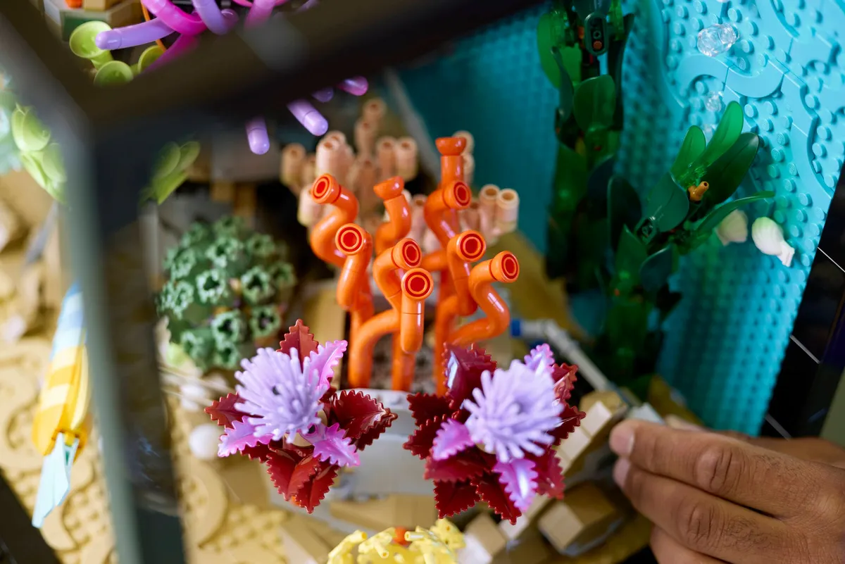 Tropical Aquarium - Image 5