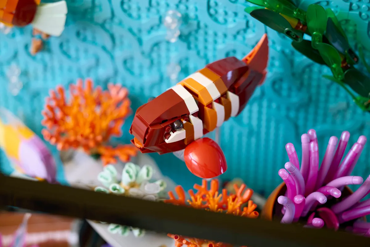 Tropical Aquarium - Image 4