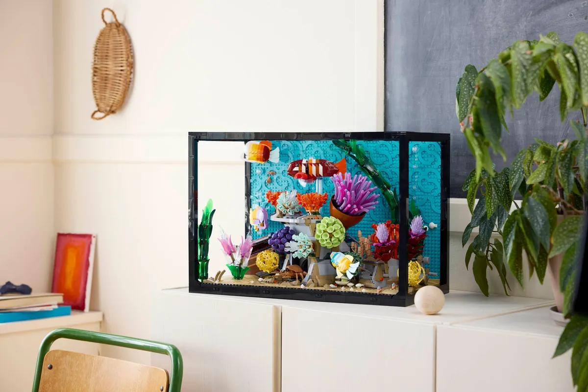Tropical Aquarium - Image 9