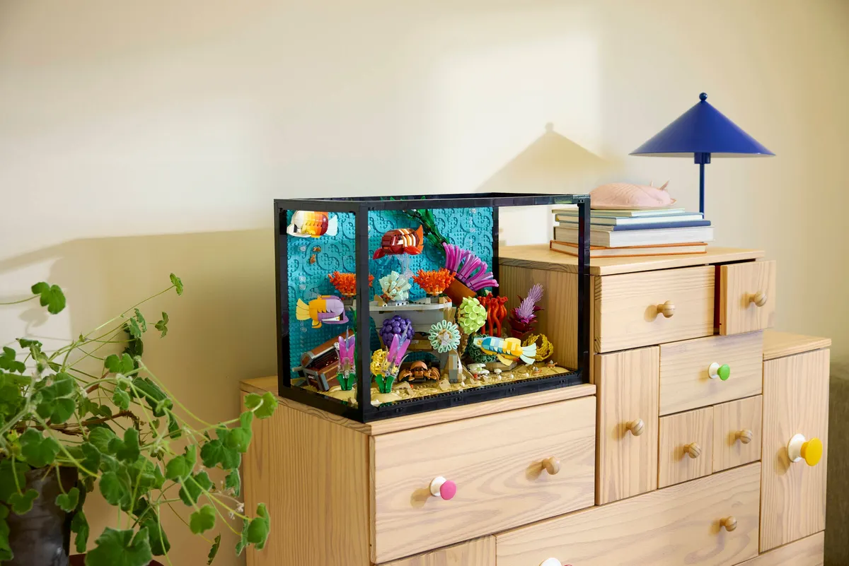 Tropical Aquarium - Image 8