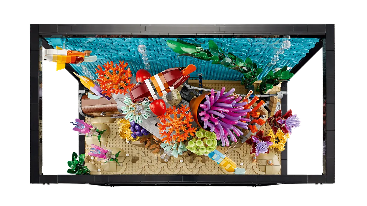 Tropical Aquarium - Image 12