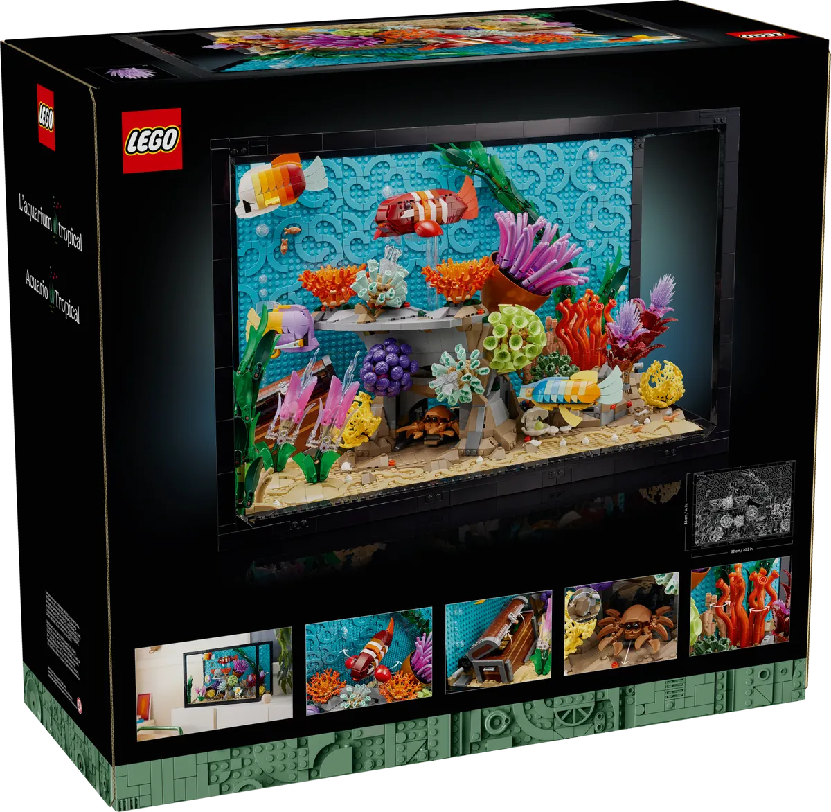 Tropical Aquarium - Image 11