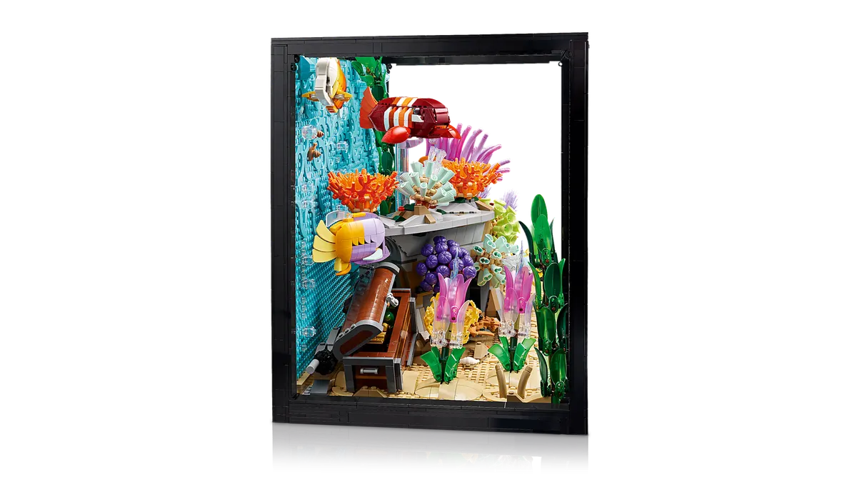 Tropical Aquarium - Image 14