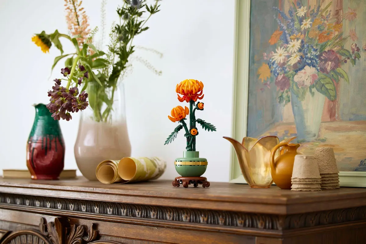Chrysanthemum - Image 6