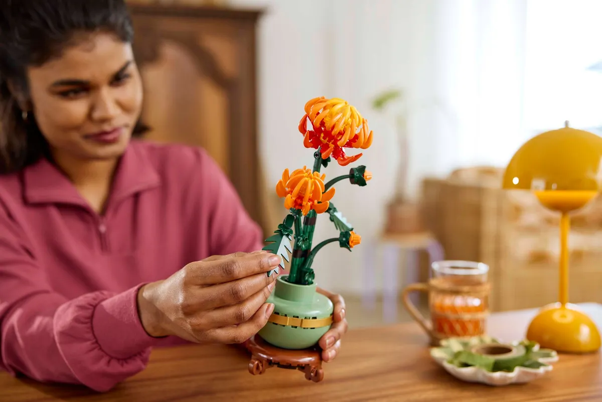 Chrysanthemum - Image 5