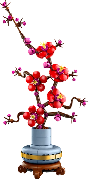 Plum Blossom