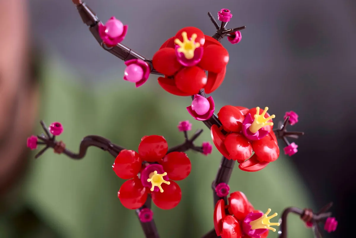Plum Blossom - Image 4