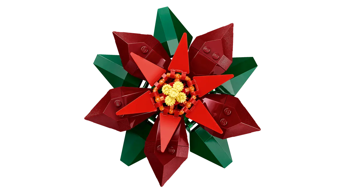 Poinsettia - Image 7
