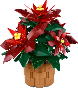 Poinsettia